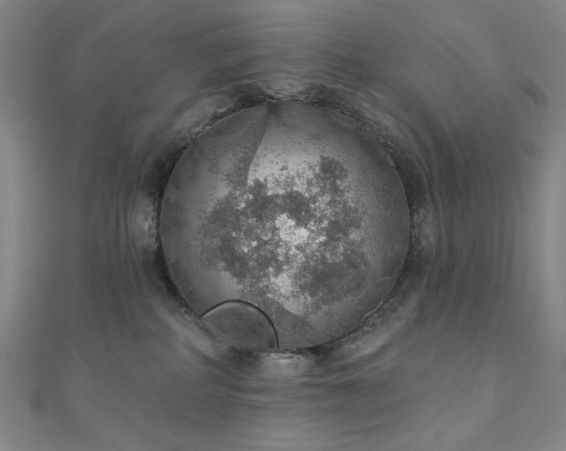 X0000110700234200906121340