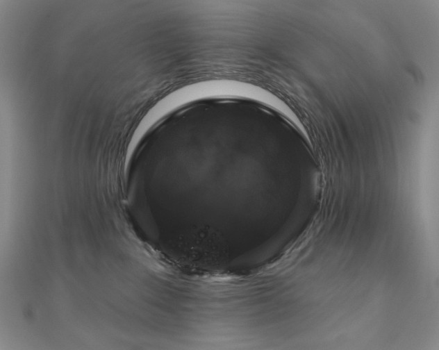 X0000110700235200906121340