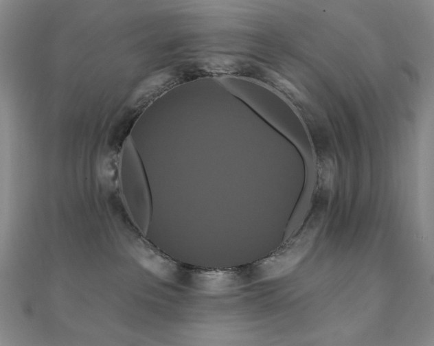 X0000110700237200906121340
