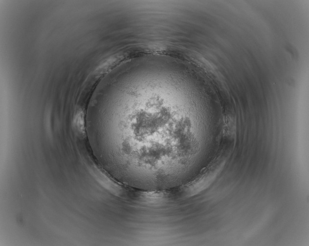X0000110700238200906121340