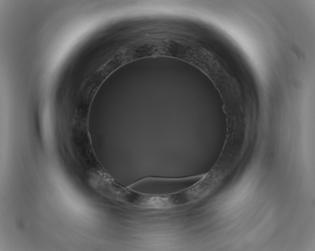 X0000110700239200906121340