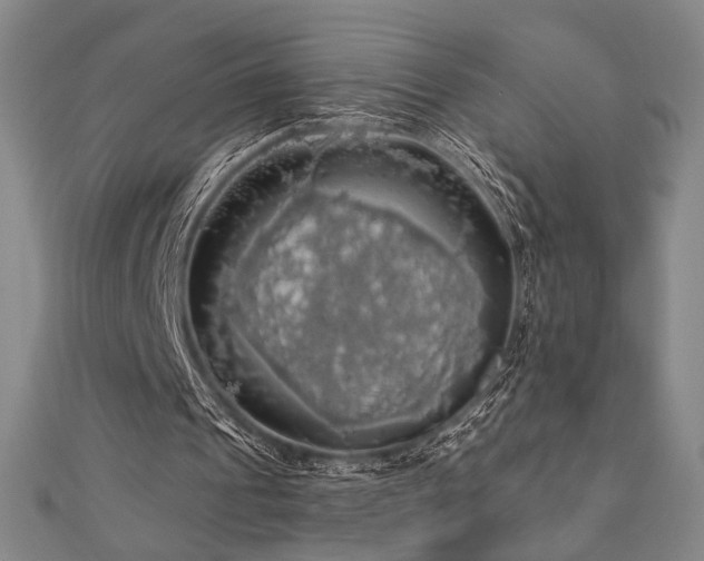 X0000110700241200906121339