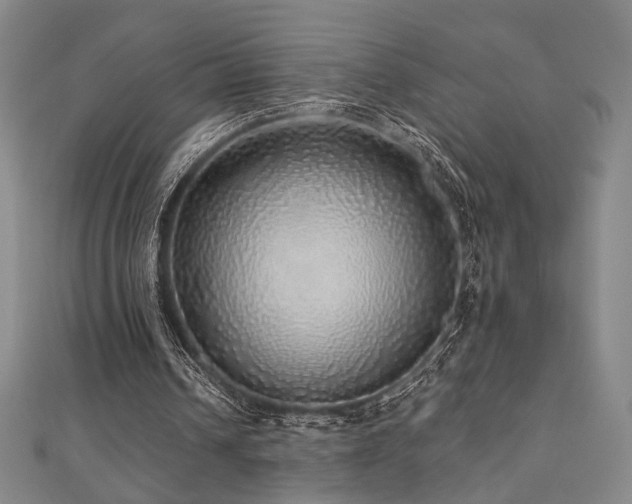 X0000110700242200906121339