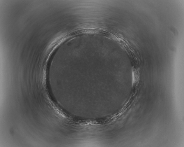 X0000110700243200906121339