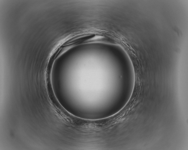X0000110700244200906121339