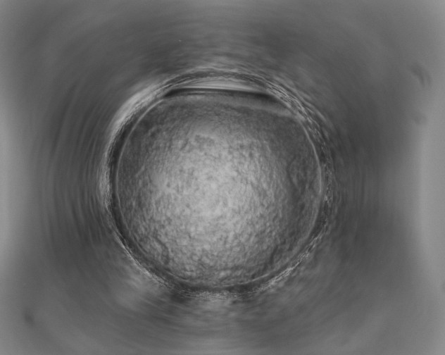 X0000110700245200906121339