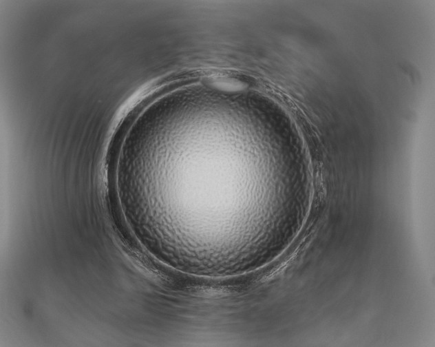 X0000110700246200906121339
