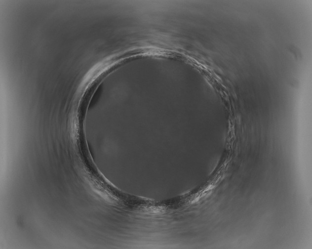 X0000110700247200906121340