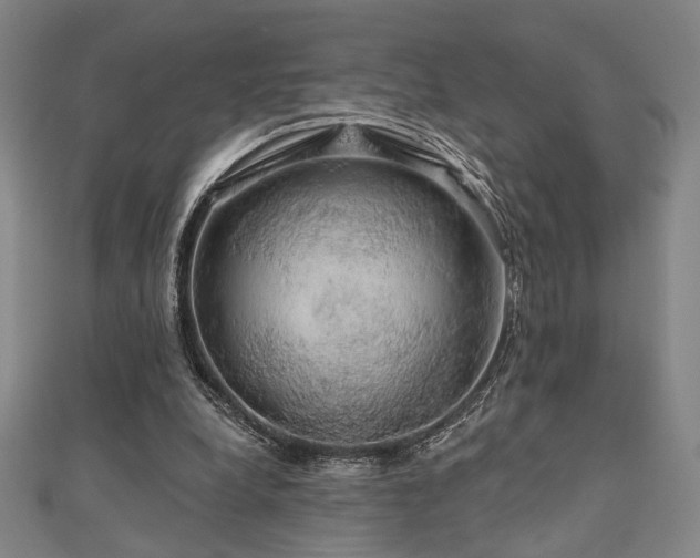 X0000110700248200906121340