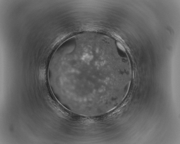 X0000110700249200906121340