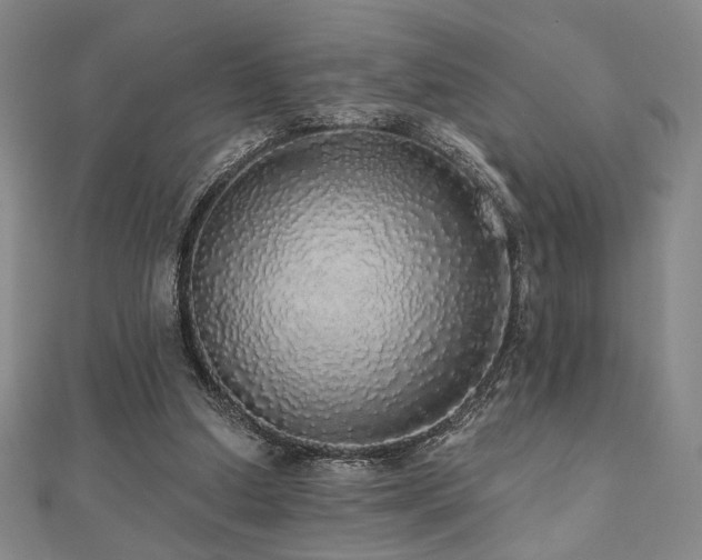 X0000110700250200906121340