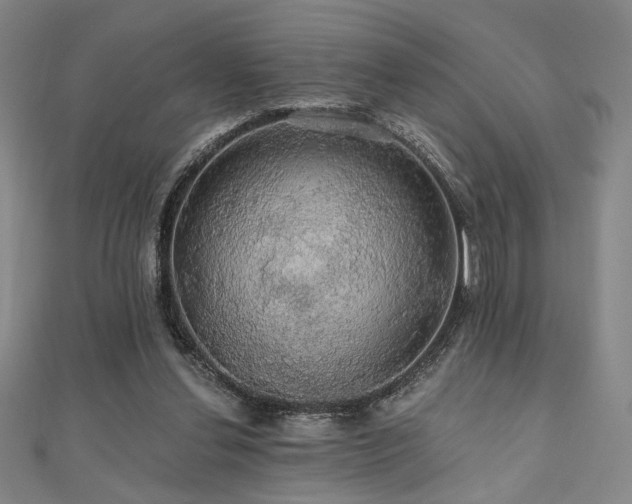 X0000110700252200906121340