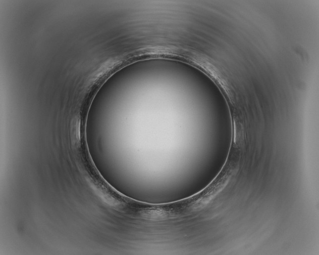 X0000110700253200906121340