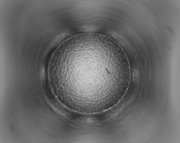 X0000110700254200906121340