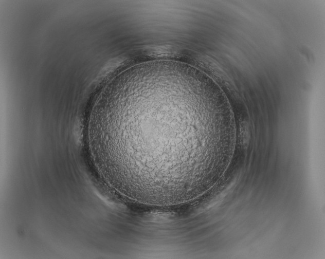 X0000110700255200906121340