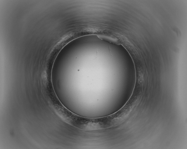 X0000110700256200906121340