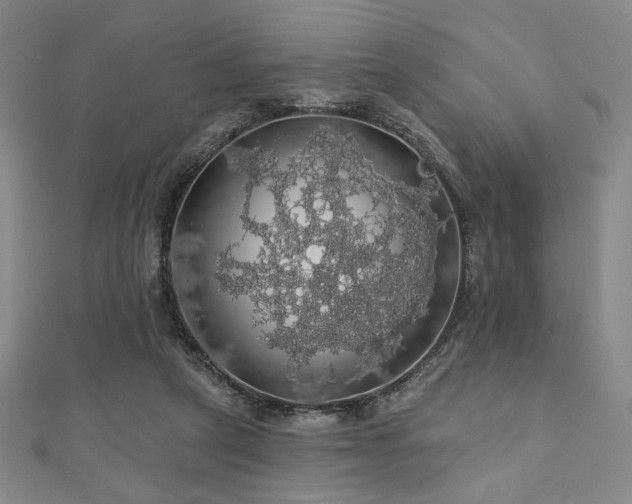 X0000110700257200906121340