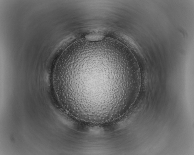 X0000110700258200906121340
