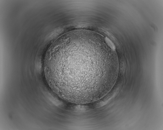 X0000110700261200906121340