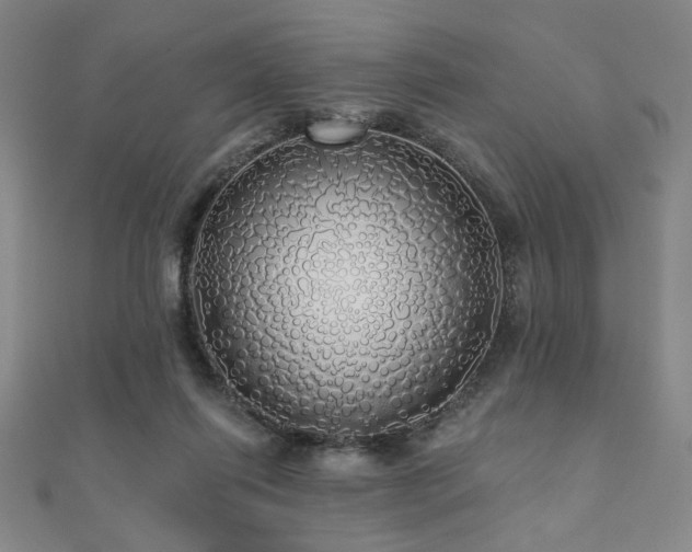 X0000110700262200906121340