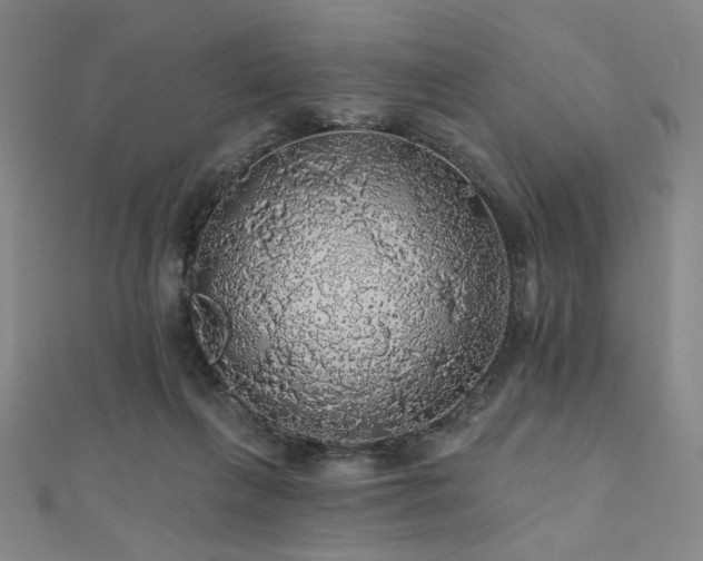 X0000110700263200906121340