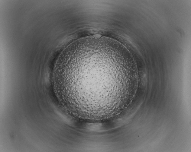 X0000110700266200906121340