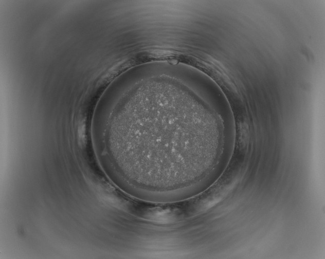 X0000110700267200906121340