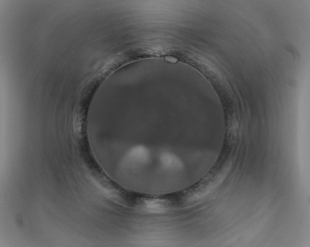 X0000110700268200906121340