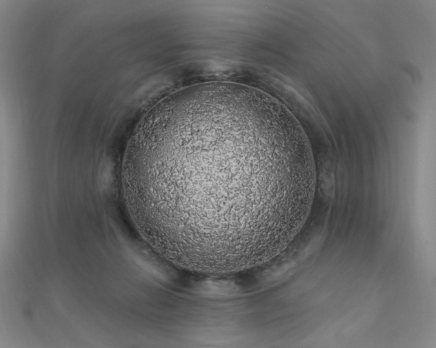 X0000110700270200906121340