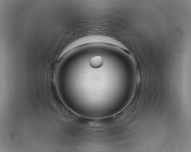 X0000110700272200906121340