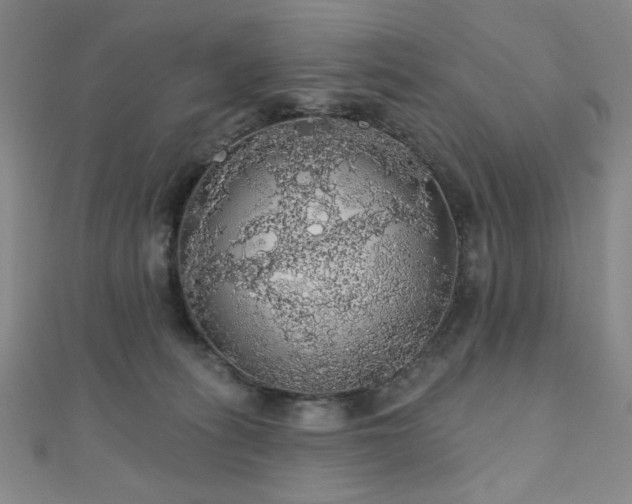 X0000110700275200906121340