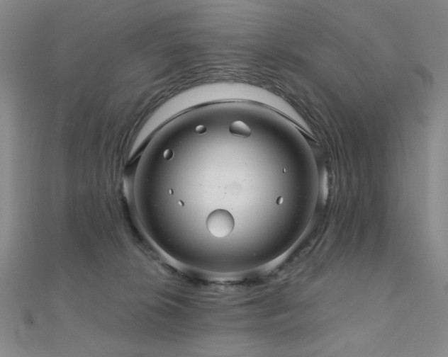 X0000110700276200906121340