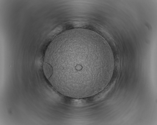 X0000110700277200906121340