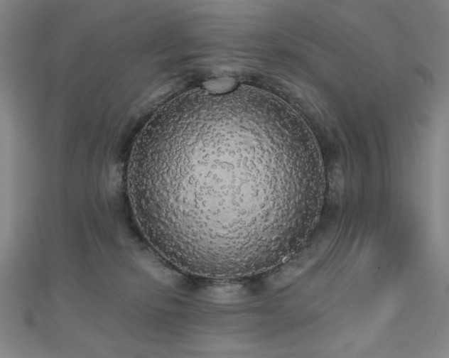 X0000110700278200906121340