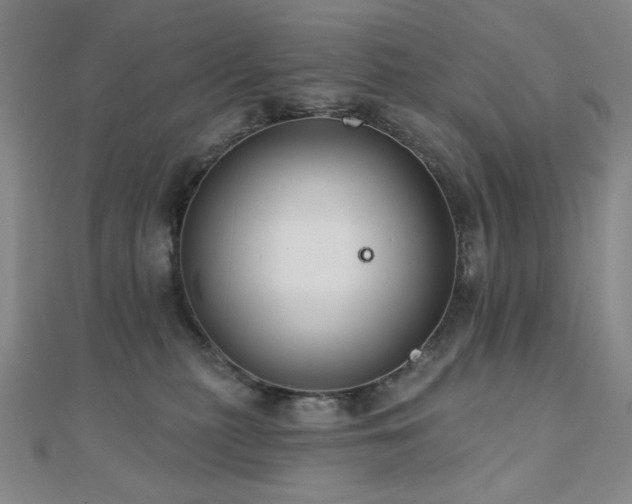 X0000110700279200906121340