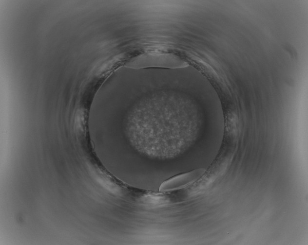 X0000110700280200906121340