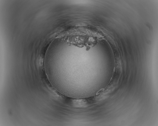 X0000110700281200906121340