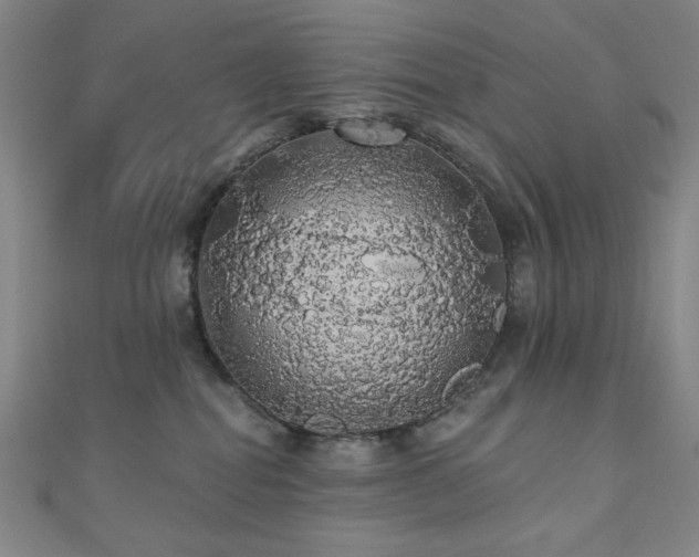 X0000110700282200906121340