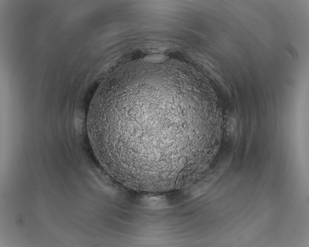 X0000110700283200906121340