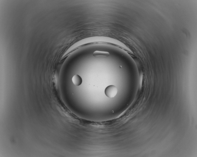 X0000110700284200906121340