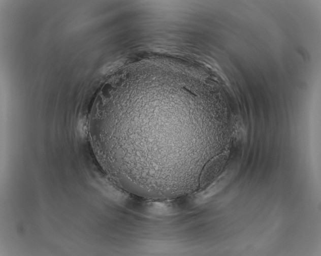 X0000110700285200906121340