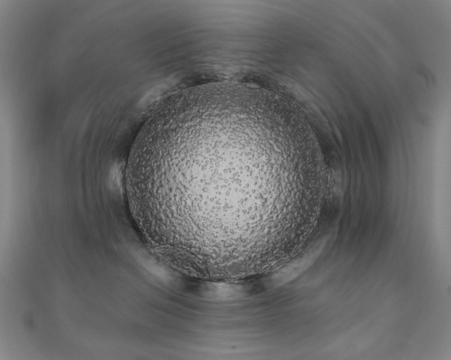 X0000110700286200906121340