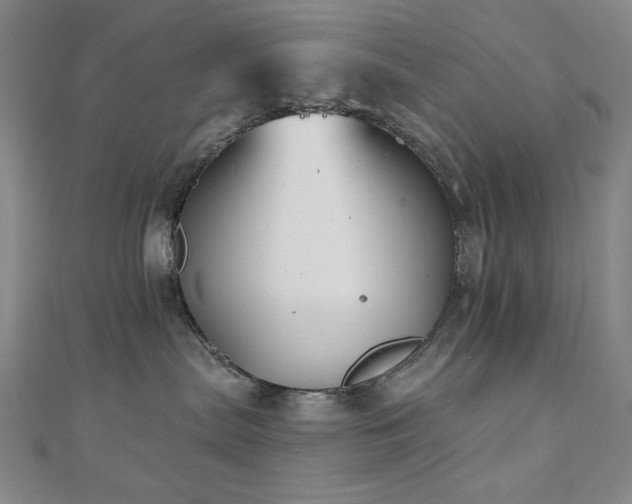 X0000110700287200906121340
