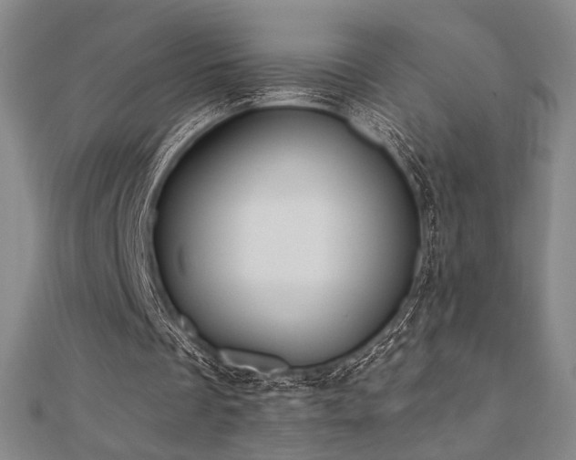 X0000110700289200906121339