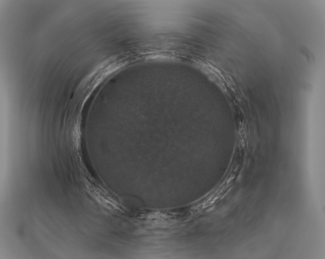 X0000110700290200906121339