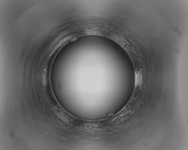 X0000110700291200906121339