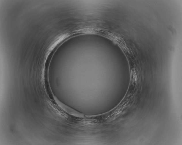 X0000110700292200906121339