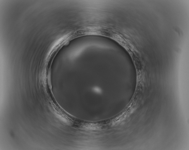 X0000110700293200906121339