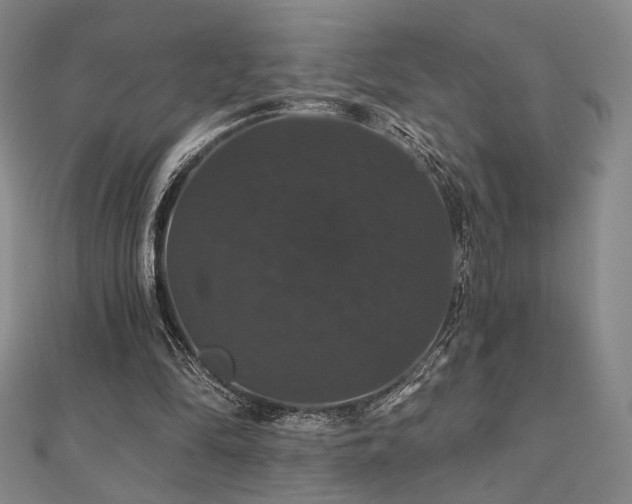 X0000110700294200906121339