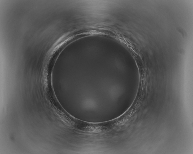 X0000110700295200906121339